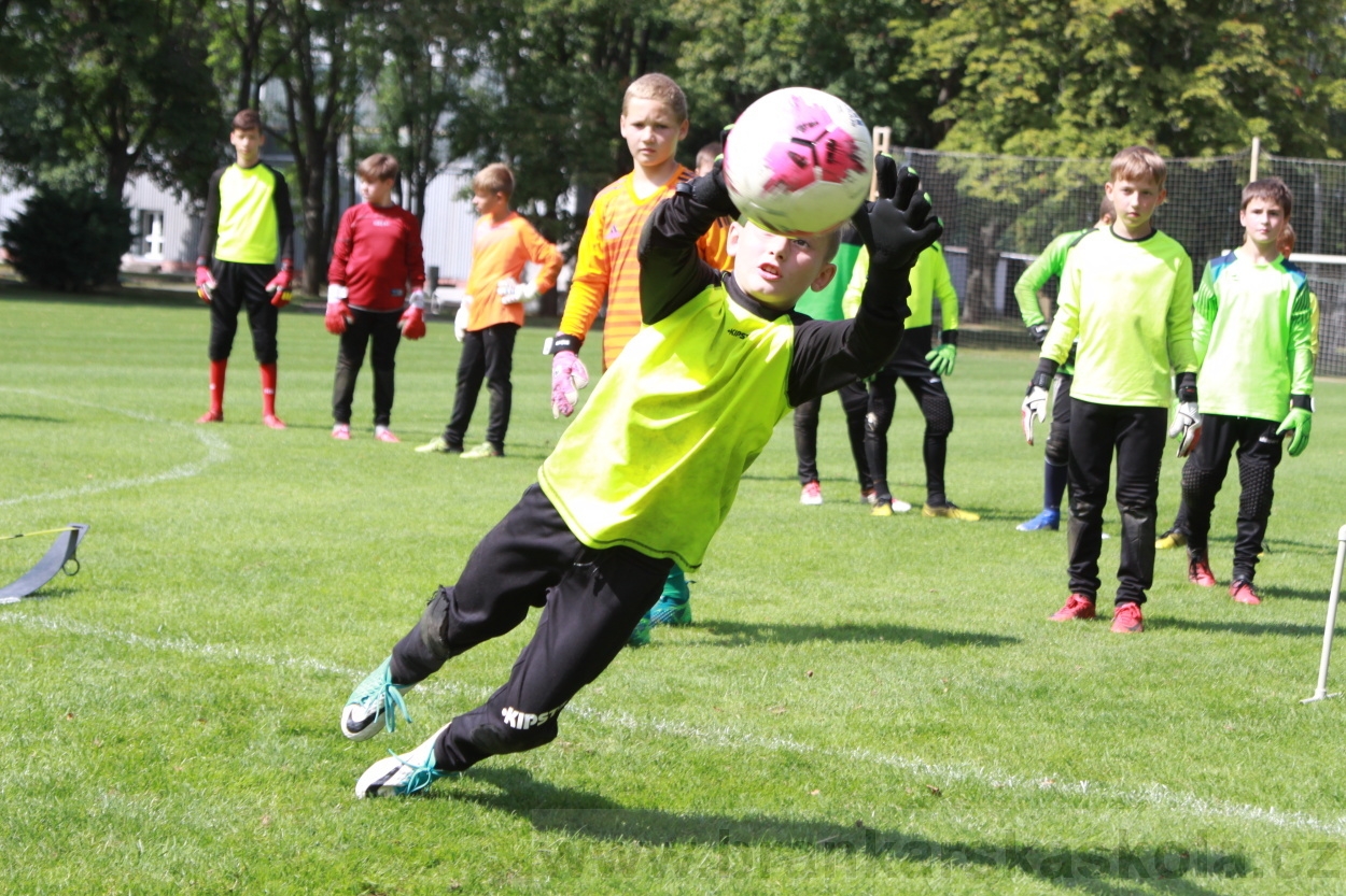 BFŠJCH - Léto 2019 - 7.8.2019