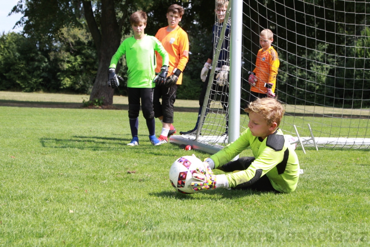 BFŠJCH - Léto 2019 - 7.8.2019