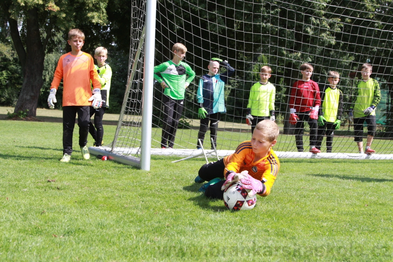 BFŠJCH - Léto 2019 - 7.8.2019