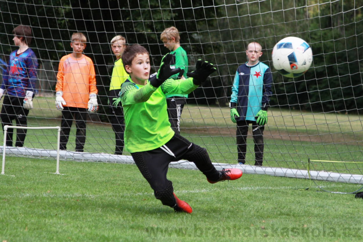 BFŠJCH - Léto 2019 - 7.8.2019