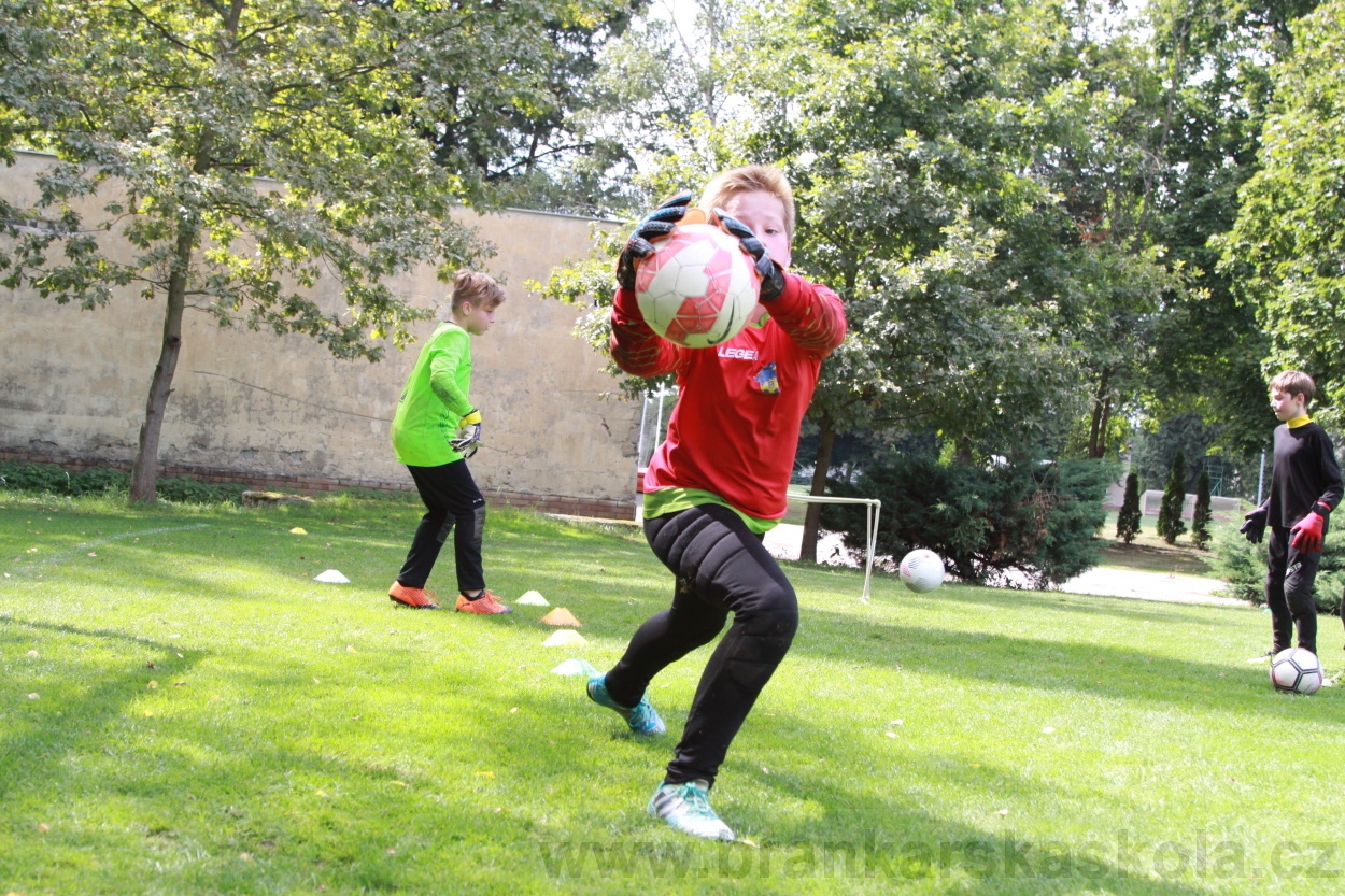 BFŠJCH - Léto 2019 - 7.8.2019