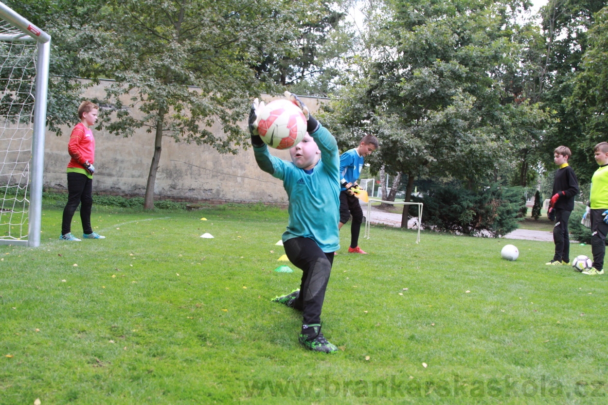 BFŠJCH - Léto 2019 - 7.8.2019