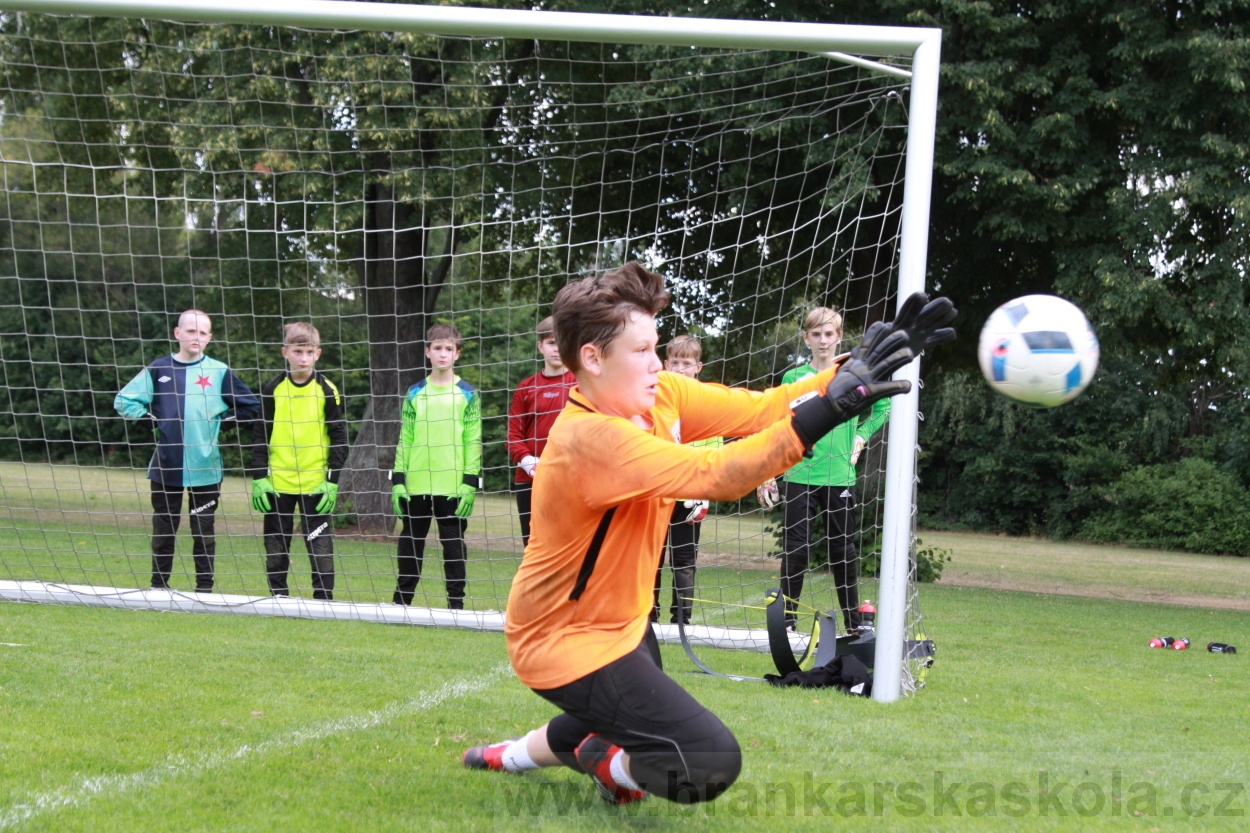 BFŠJCH - Léto 2019 - 7.8.2019