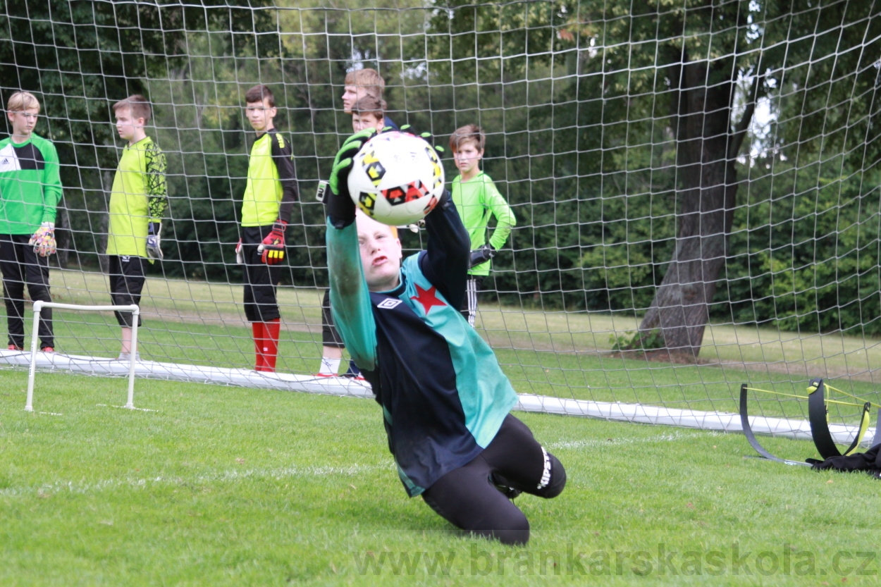 BFŠJCH - Léto 2019 - 7.8.2019