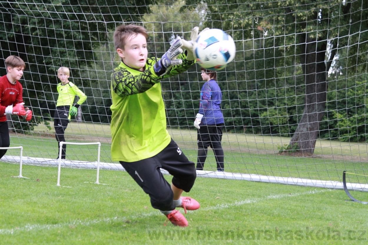 BFŠJCH - Léto 2019 - 7.8.2019