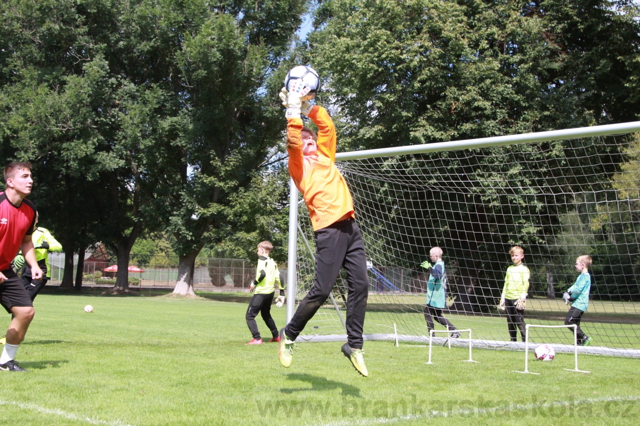 BFŠJCH - Léto 2019 - 7.8.2019