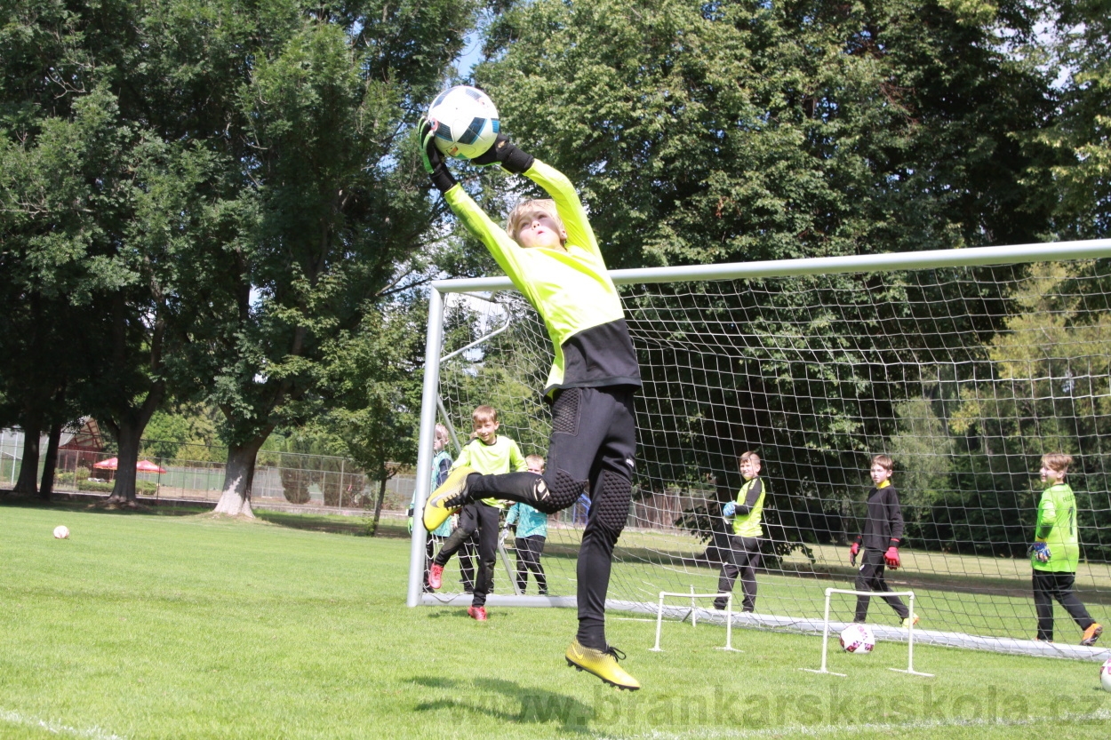 BFŠJCH - Léto 2019 - 7.8.2019