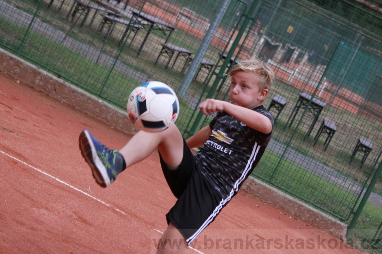 BFŠJCH - Léto 2019 - 7.8.2019