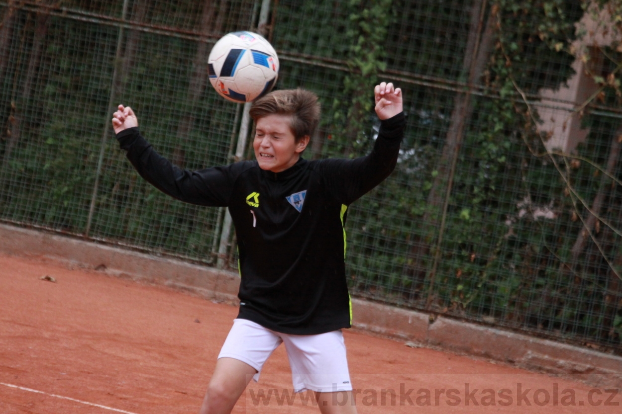 BFŠJCH - Léto 2019 - 7.8.2019