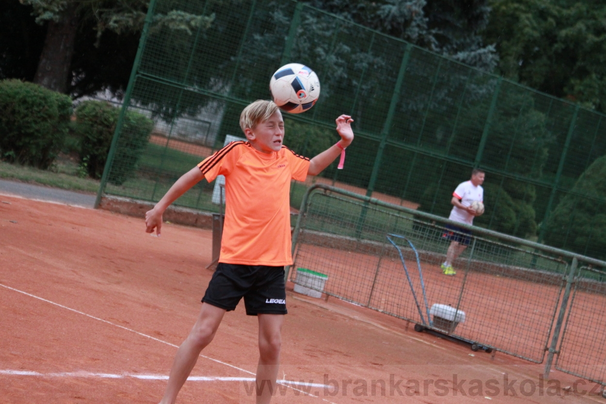 BFŠJCH - Léto 2019 - 7.8.2019