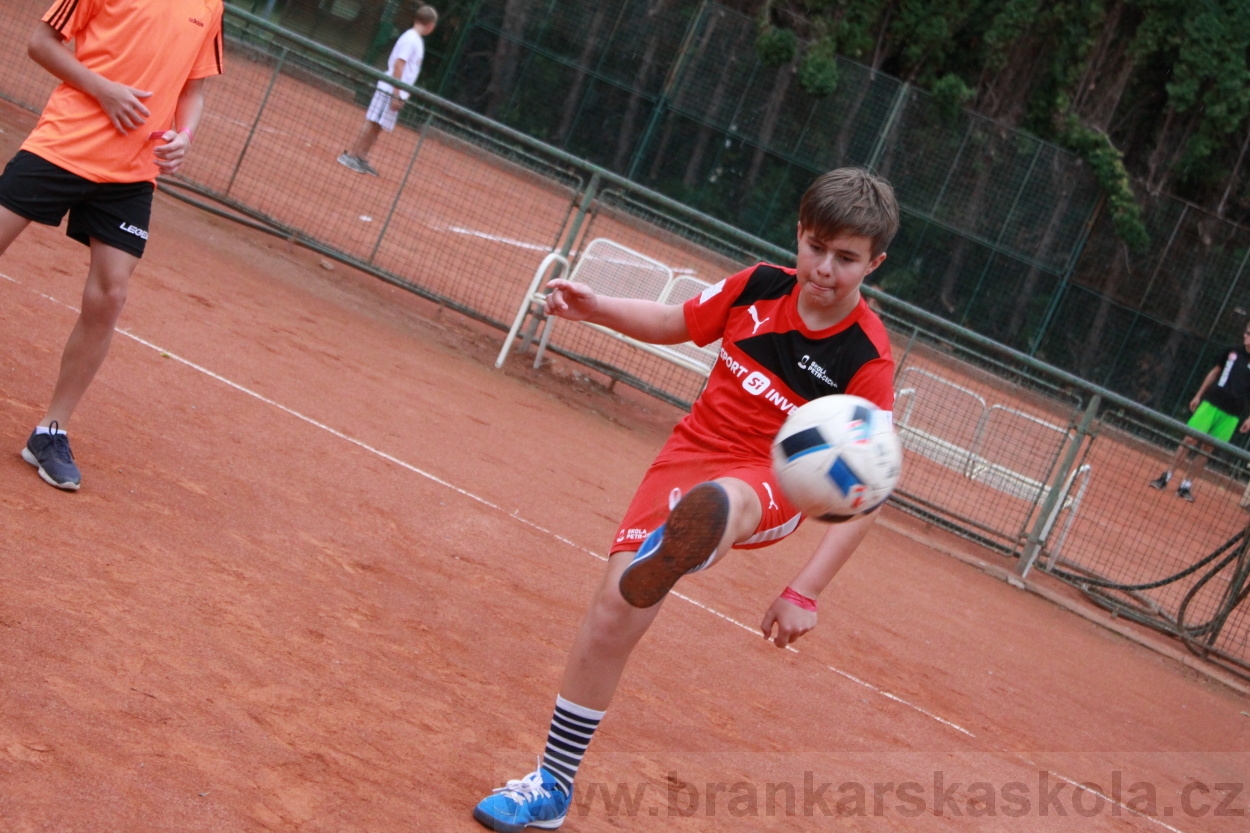 BFŠJCH - Léto 2019 - 7.8.2019