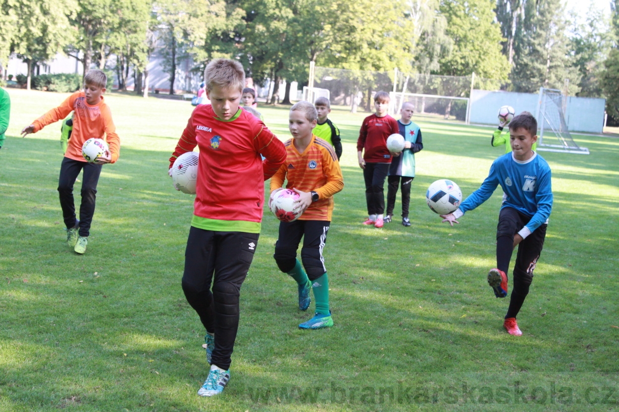 BFŠJCH - Léto 2019 - 8.8.2019