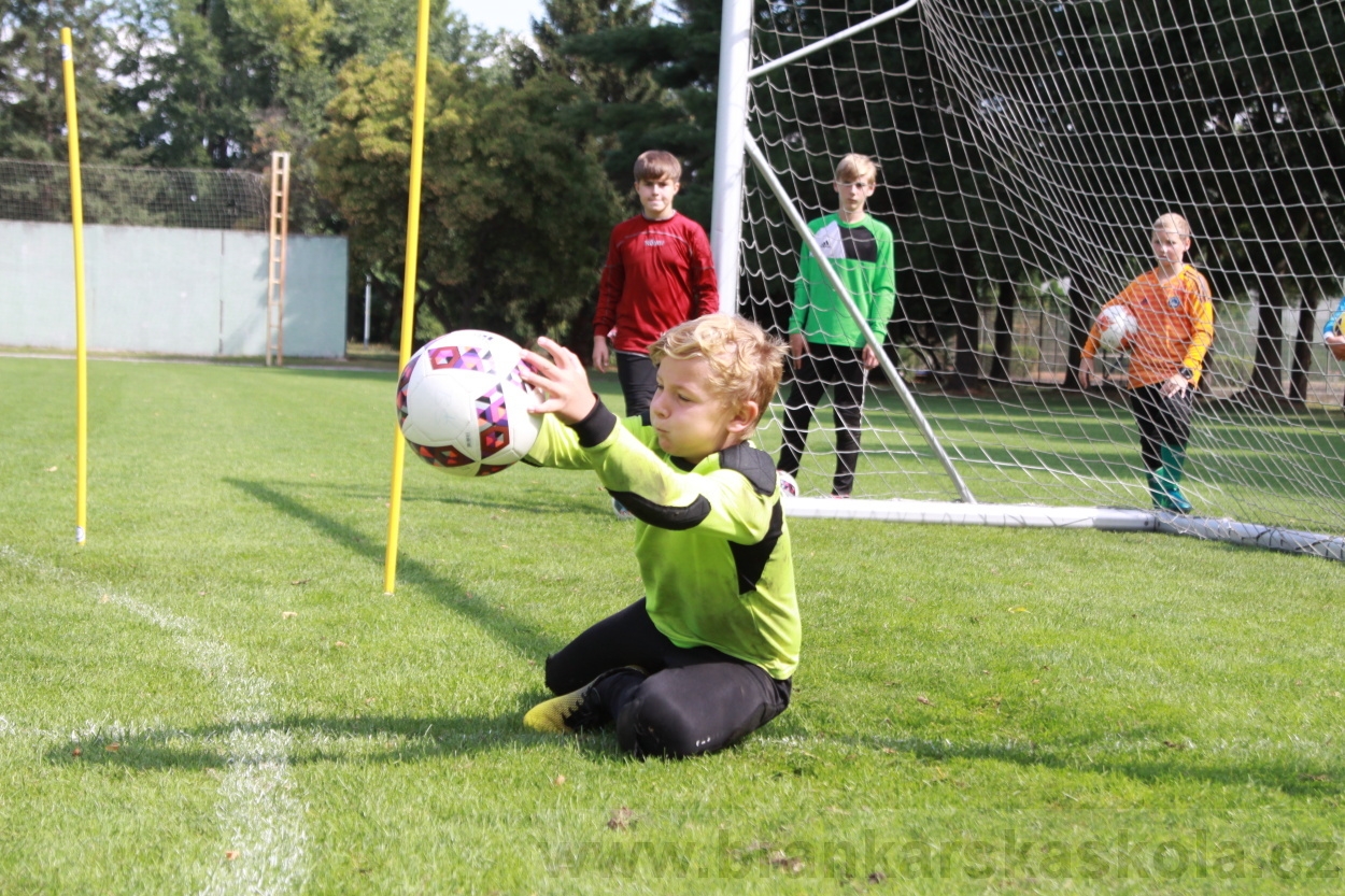 BFŠJCH - Léto 2019 - 8.8.2019