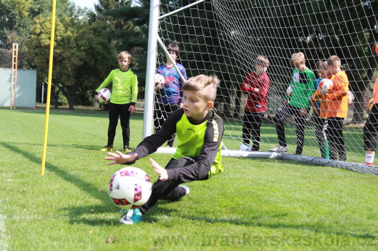 BFŠJCH - Léto 2019 - 8.8.2019