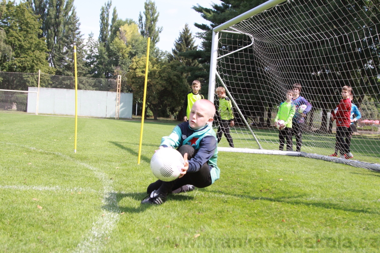 BFŠJCH - Léto 2019 - 8.8.2019