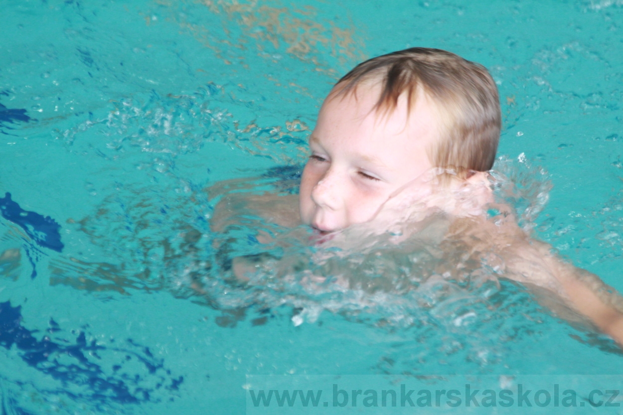 BFŠJCH - Léto 2019 - 8.8.2019