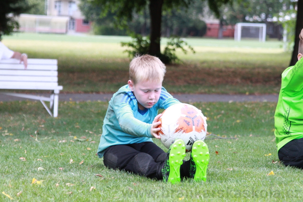 BFŠJCH - Léto 2019 - 8.8.2019