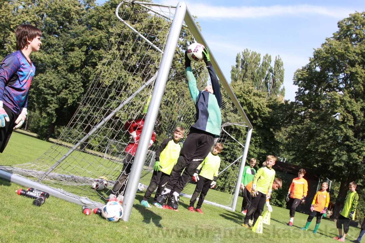 BFŠJCH - Léto 2019 - 8.8.2019