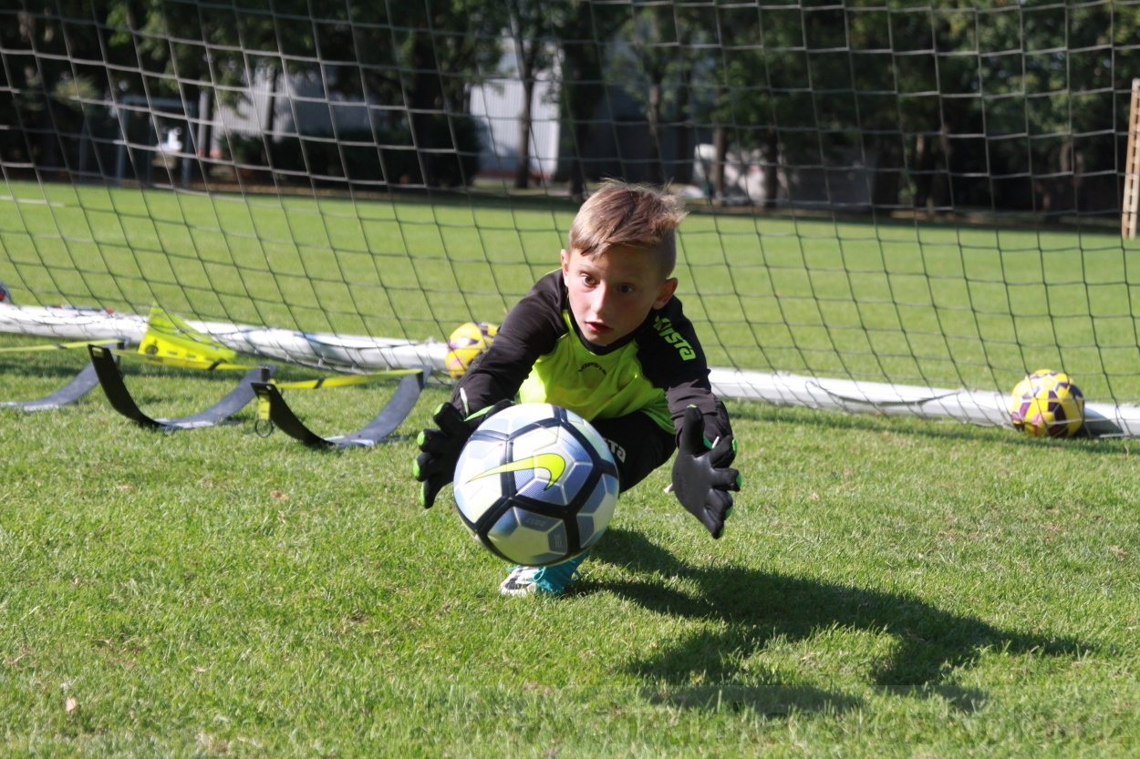 BFŠJCH - Léto 2019 - 8.8.2019