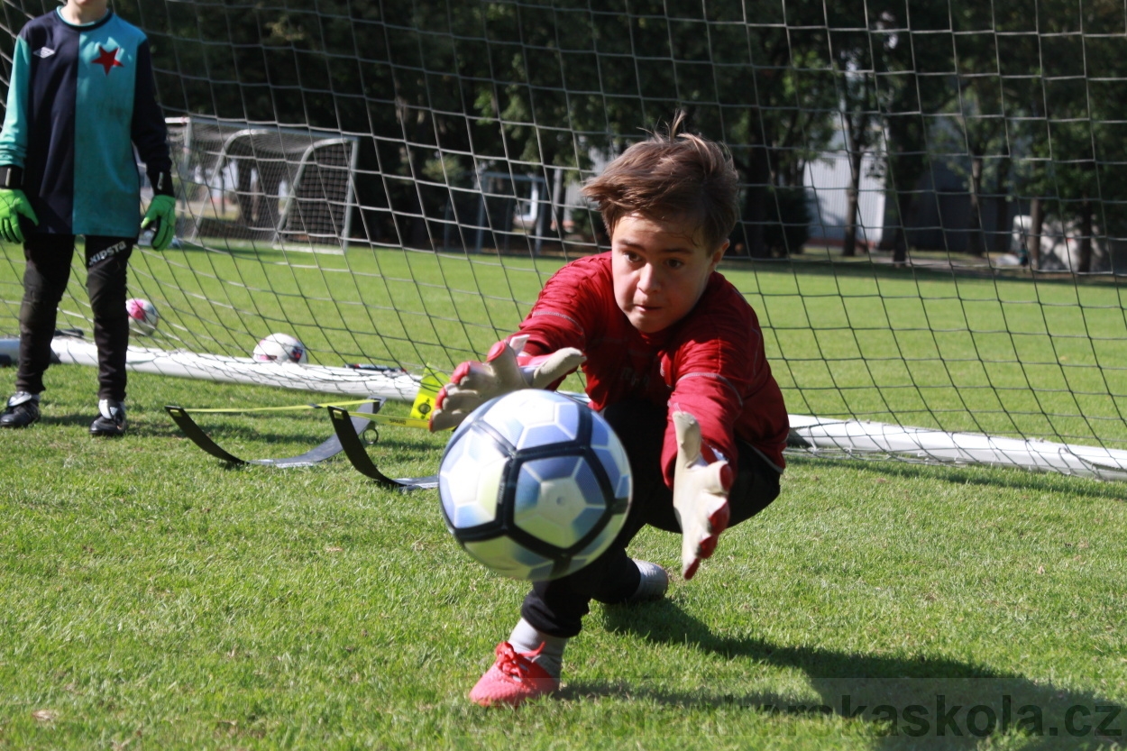 BFŠJCH - Léto 2019 - 8.8.2019