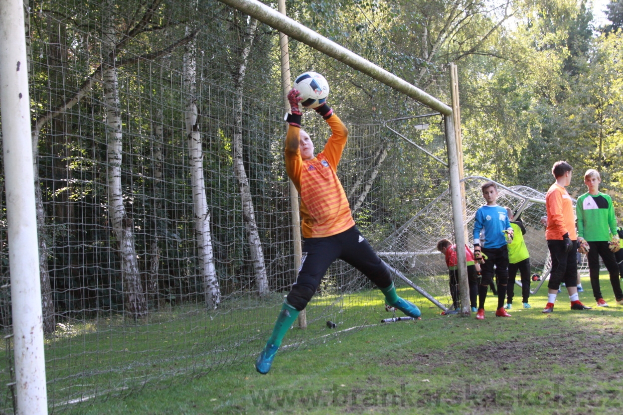 BFŠJCH - Léto 2019 - 8.8.2019