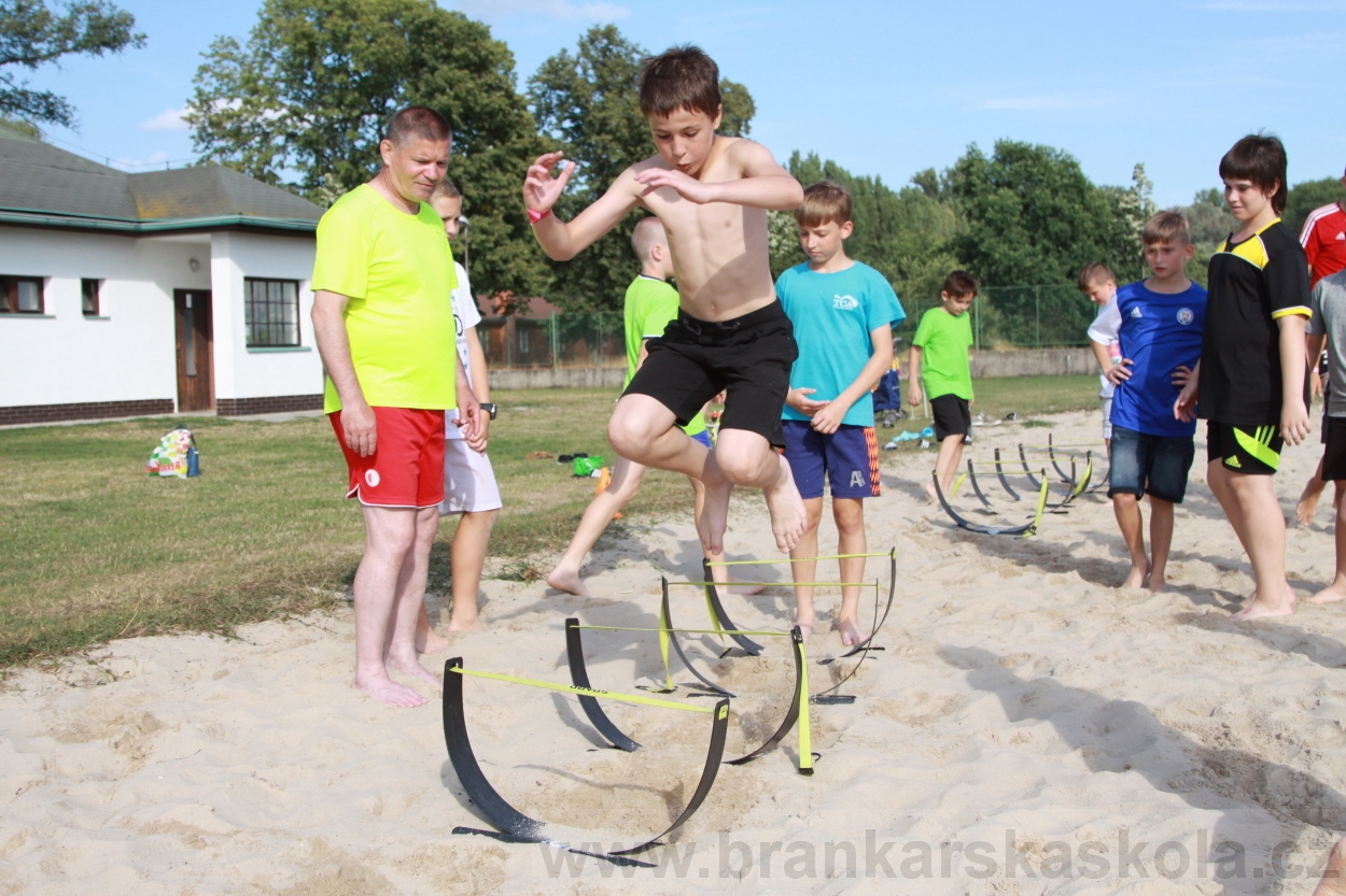 BFŠJCH - Léto 2019 - 8.8.2019