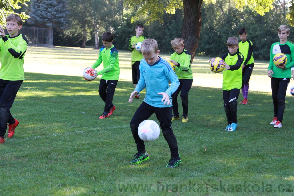 BFŠJCH - Léto 2019 - 9.8.2019