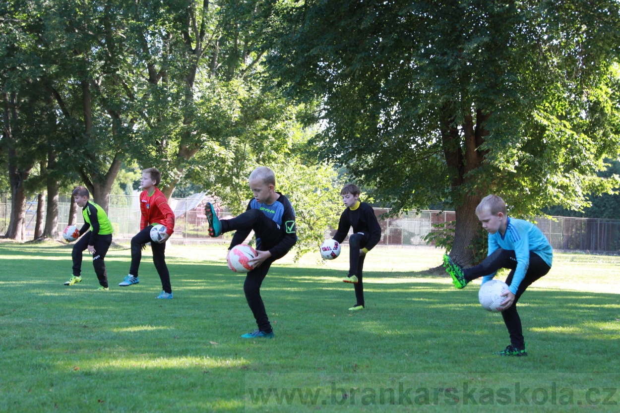BFŠJCH - Léto 2019 - 9.8.2019
