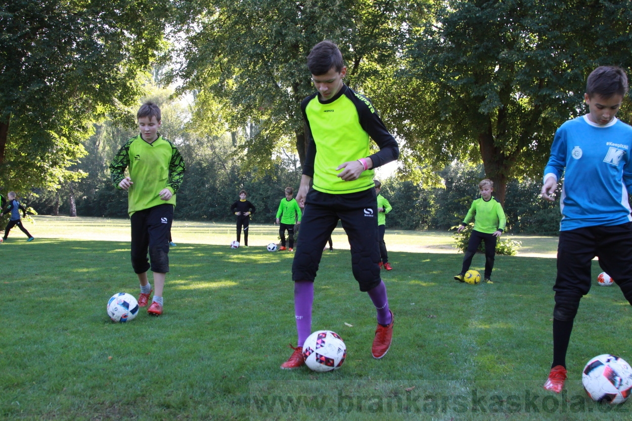 BFŠJCH - Léto 2019 - 9.8.2019