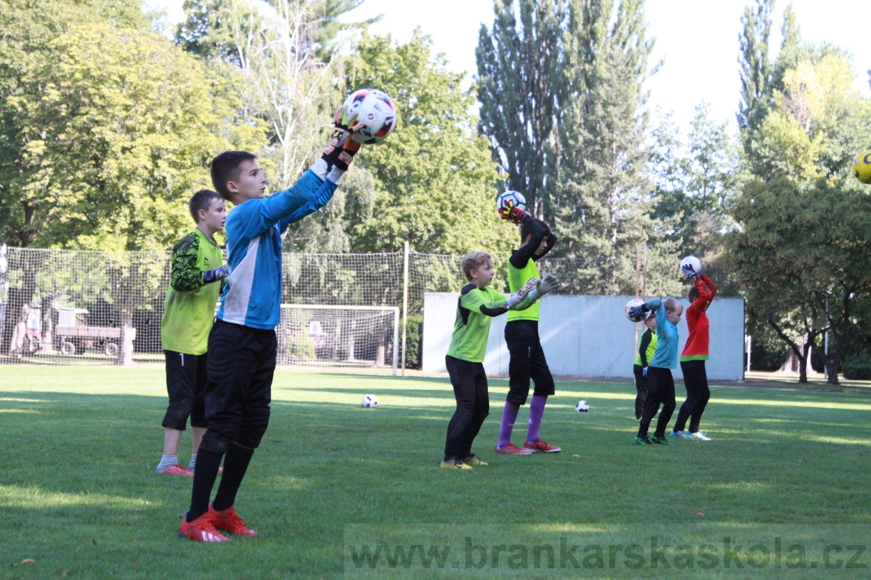 BFŠJCH - Léto 2019 - 9.8.2019