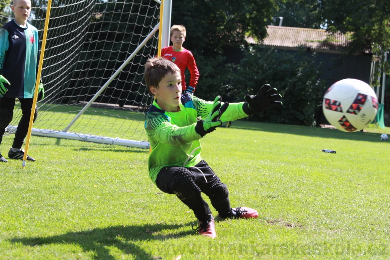 BFŠJCH - Léto 2019 - 9.8.2019