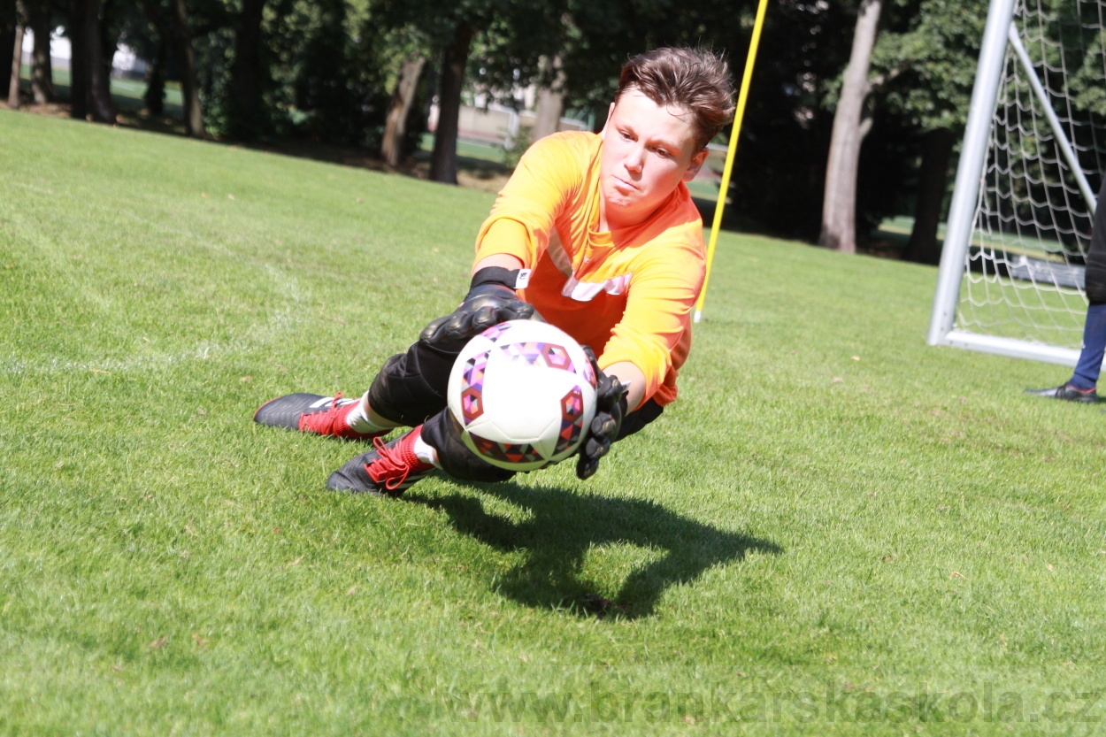 BFŠJCH - Léto 2019 - 9.8.2019