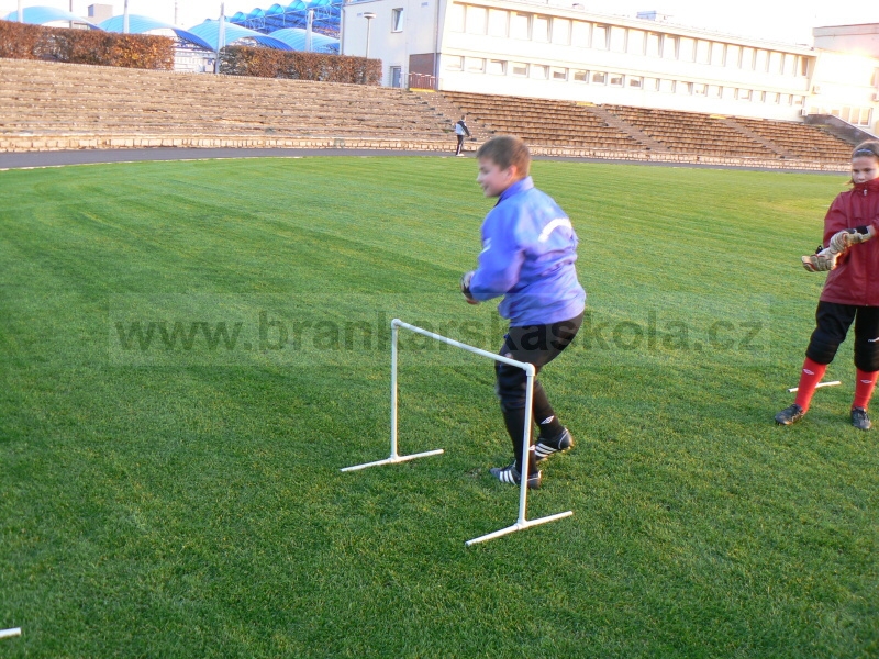Trnink Mlad Boleslavi (Pondl, 3.11.2008)