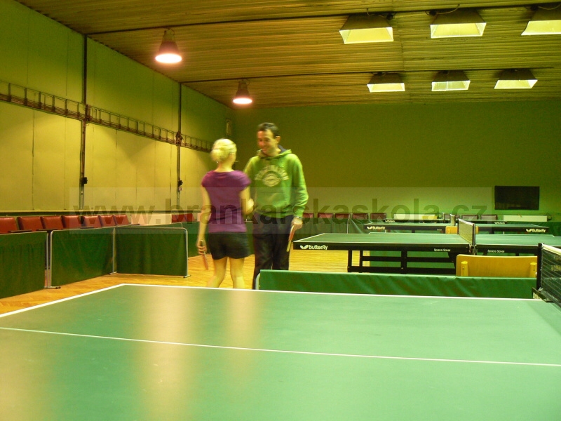 Vnon turnaj v ping pongu (30.12.2008)