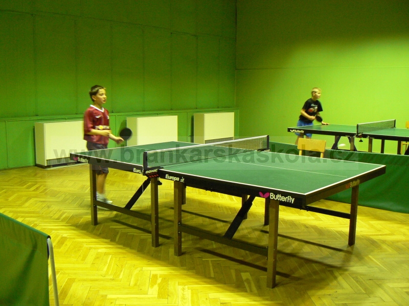 Vnon turnaj v ping pongu (30.12.2008)