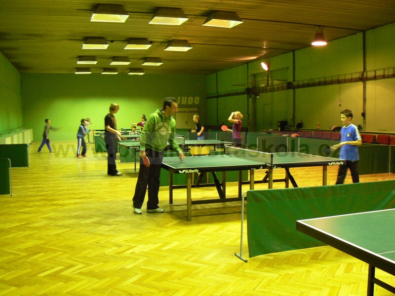 Vnon turnaj v ping pongu (30.12.2008)