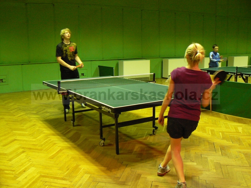 Vnon turnaj v ping pongu (30.12.2008)