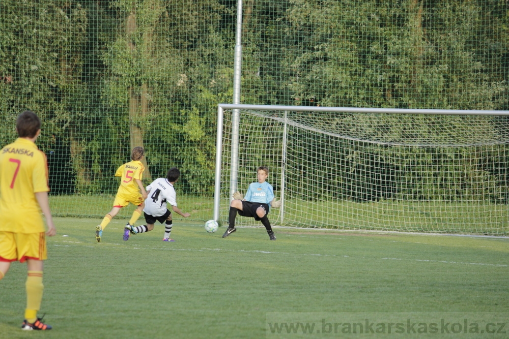 Fotbalov tm Radka Petrka - FK Dukla Praha