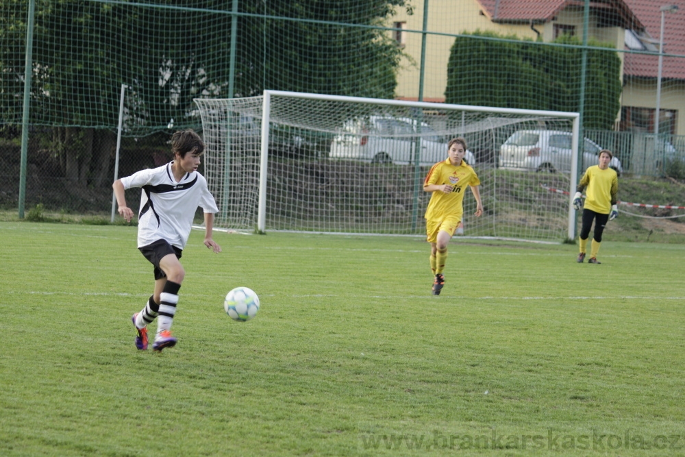 Fotbalov tm Radka Petrka - FK Dukla Praha