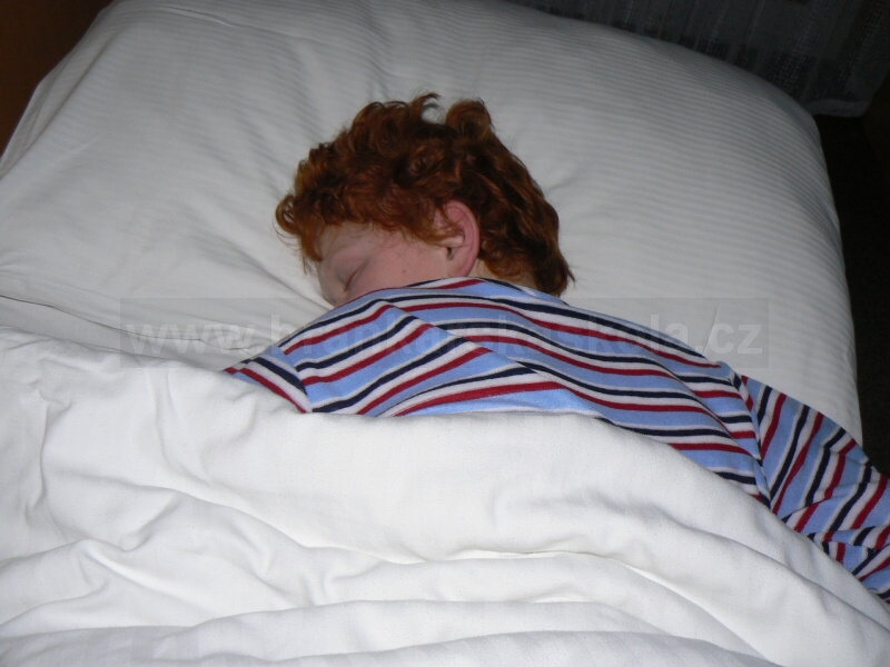 Soust�ed�n� Nymburk 2010 - Haj� pup�