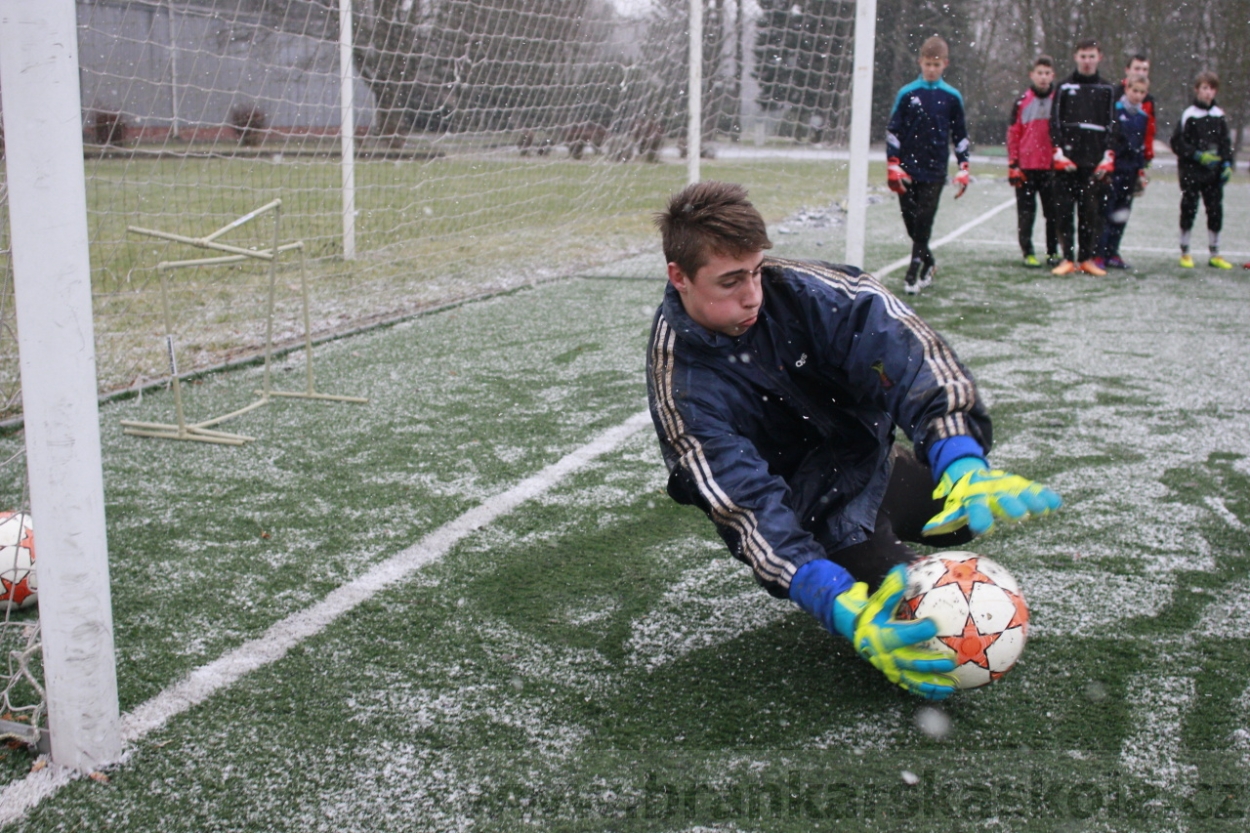 BFŠJCH - Zima 2015 - 31.1.2015