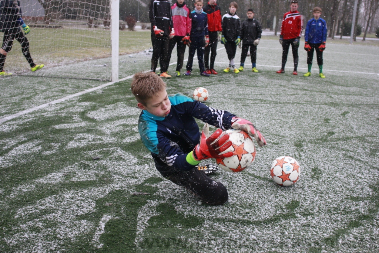 BFŠJCH - Zima 2015 - 31.1.2015