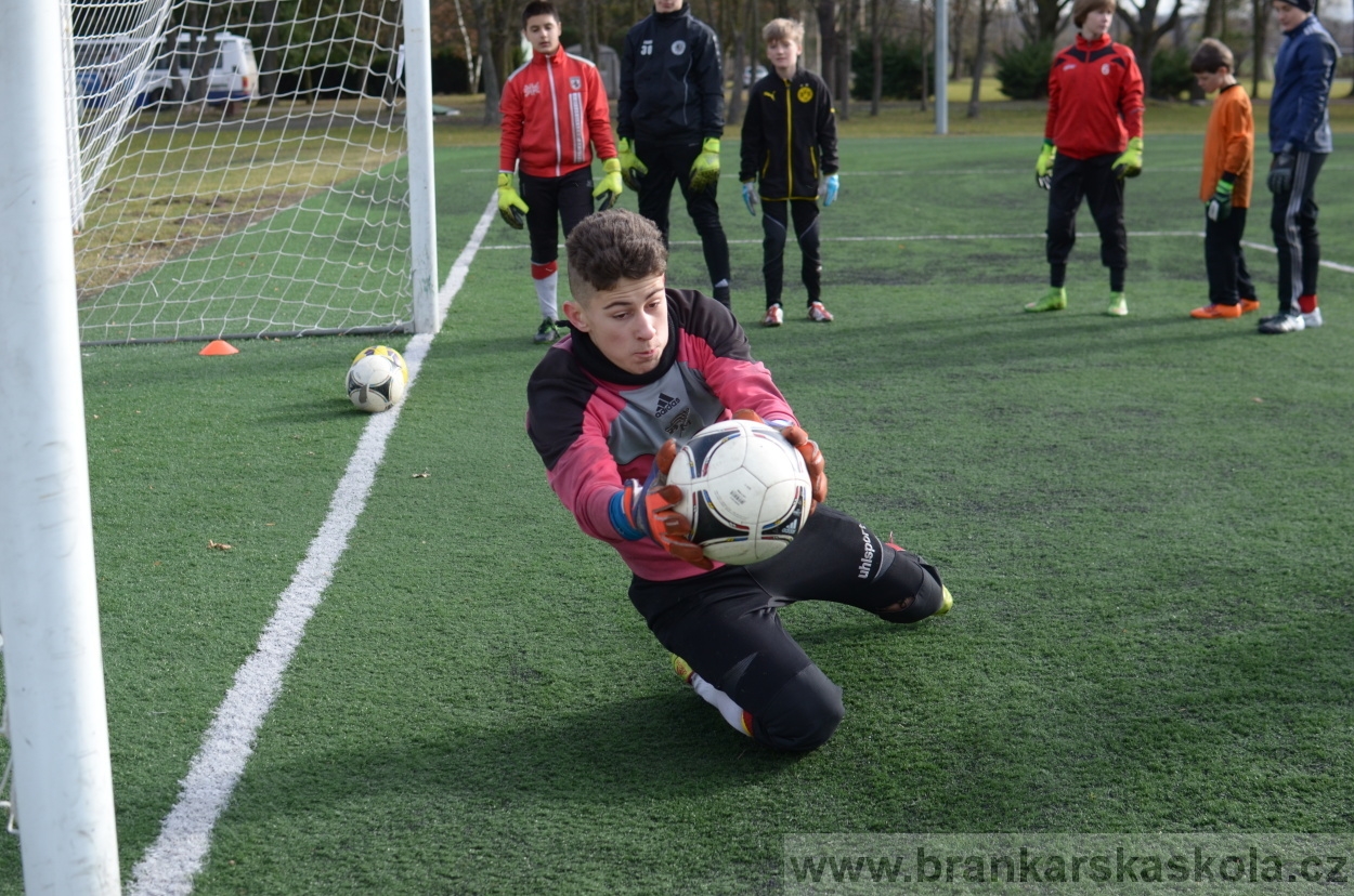 BFŠJCH - Zima 2016 - 10.2.2016