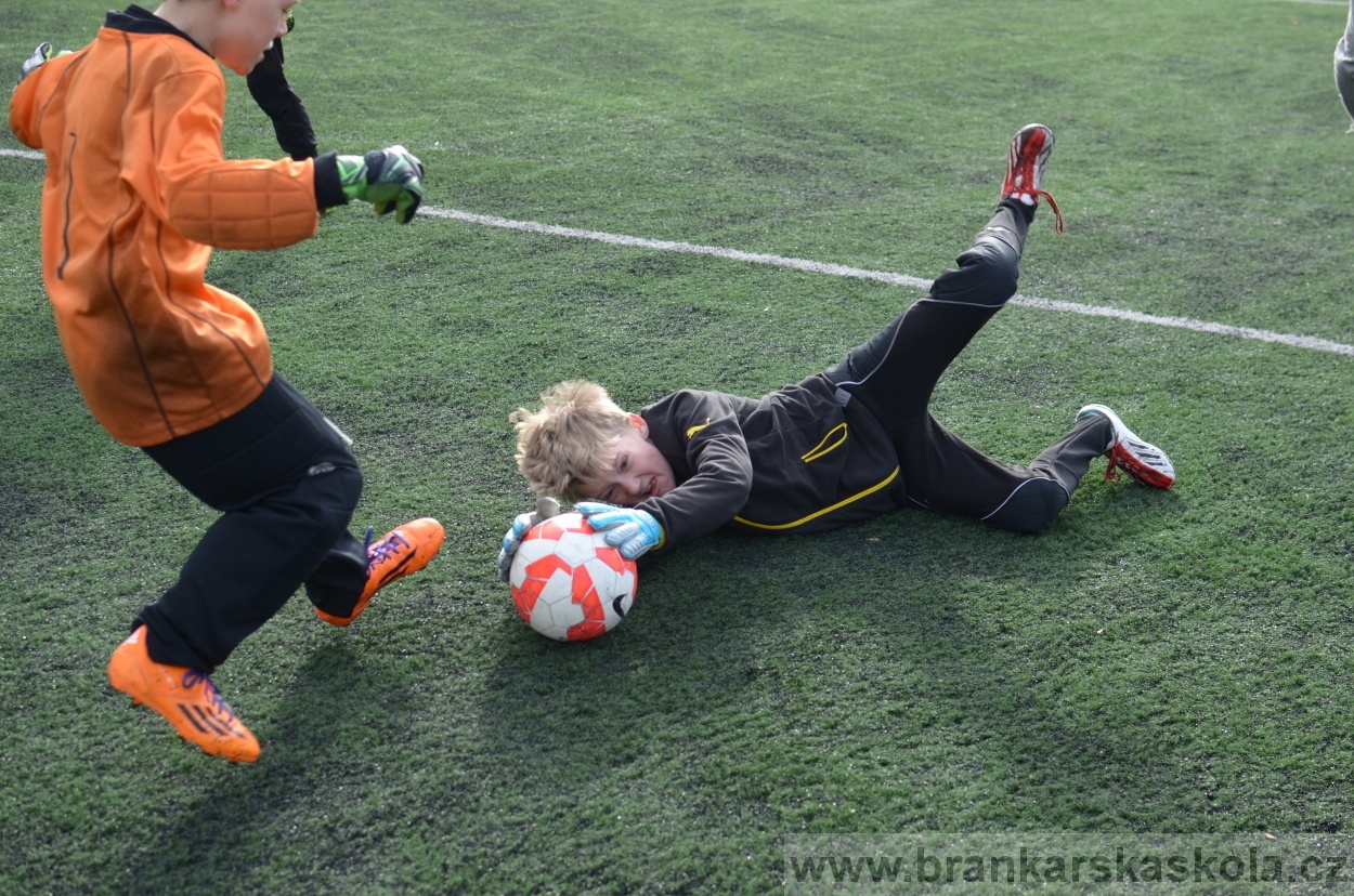 BFŠJCH - Zima 2016 - 11.2.2016