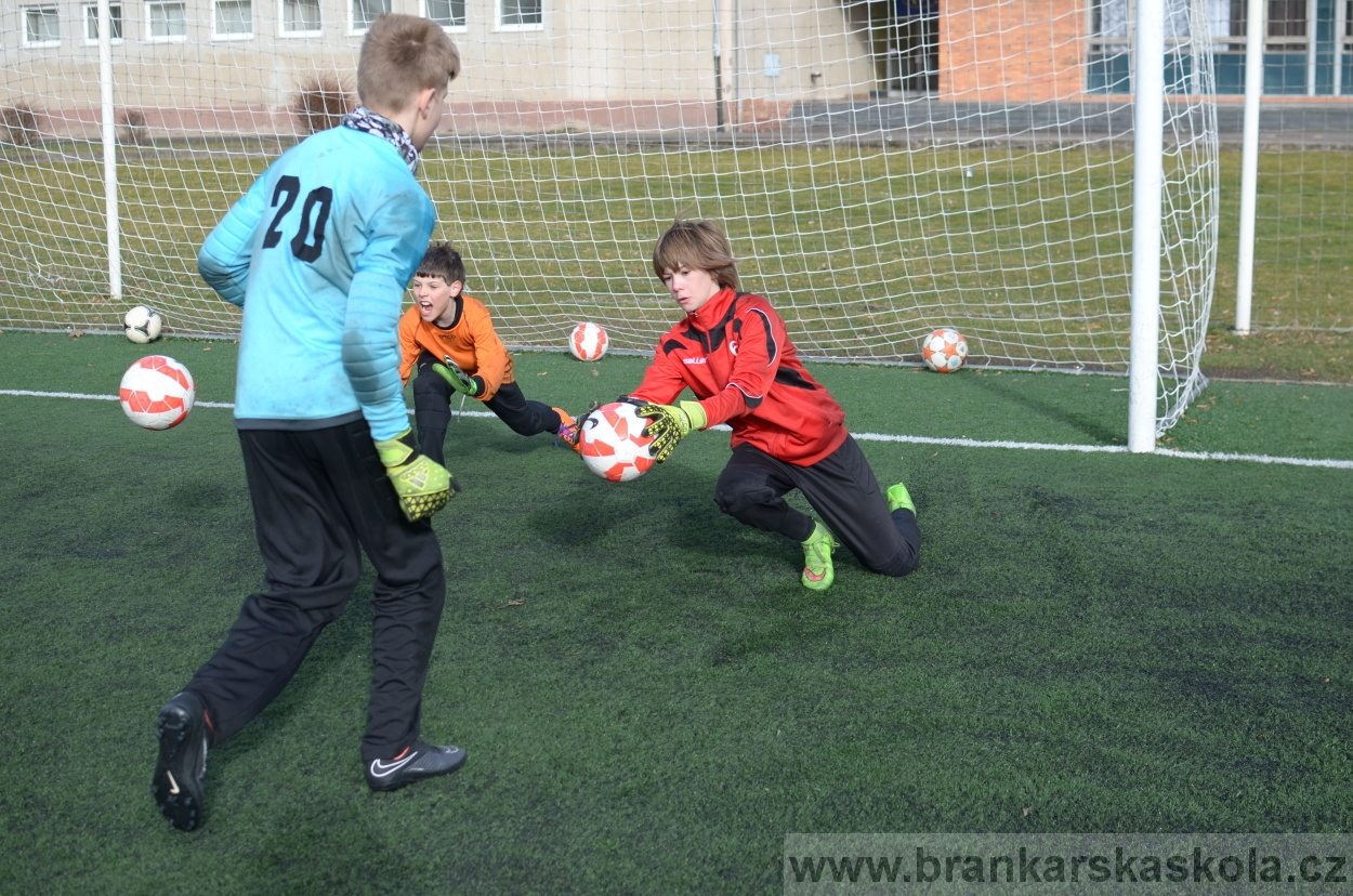 BFŠJCH - Zima 2016 - 11.2.2016