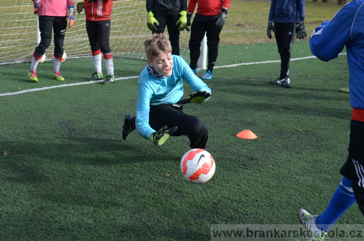 BFŠJCH - Zima 2016 - 11.2.2016