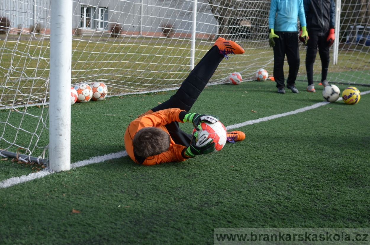 BFŠJCH - Zima 2016 - 11.2.2016