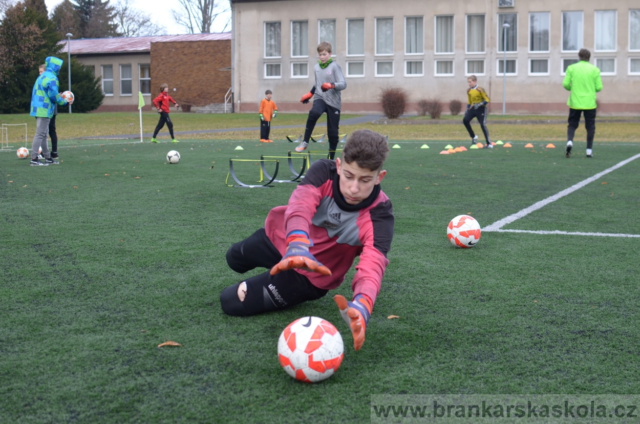 BFŠJCH - Zima 2016 - 12.2.2016