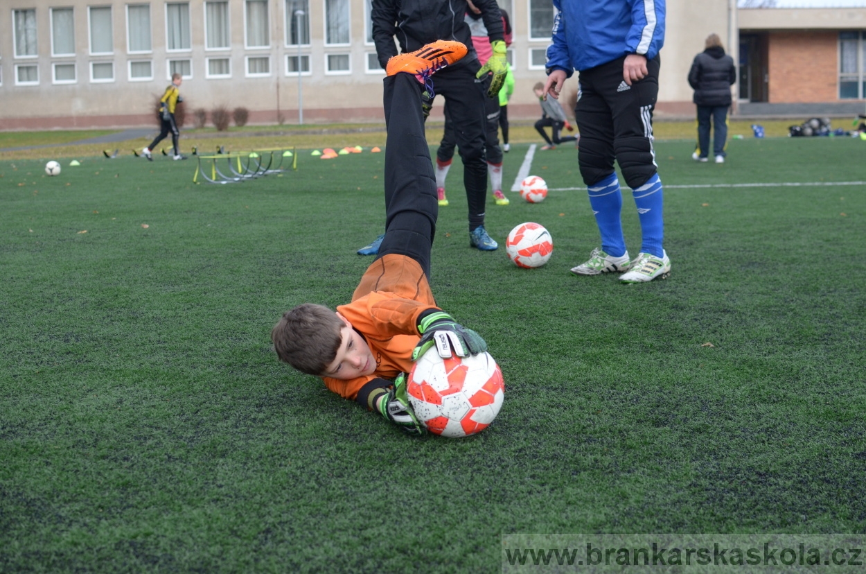 BFŠJCH - Zima 2016 - 12.2.2016