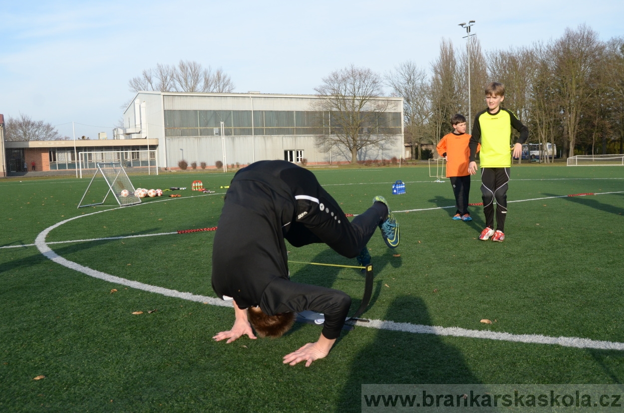 BFŠJCH - Zima 2016 - 7.2.2016